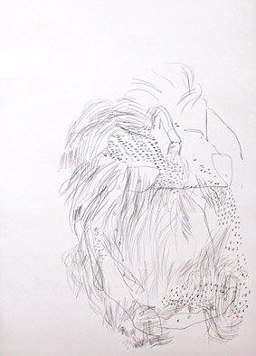 Stefanie Salzburger: “o.T“ | 2011 |  Bleistift auf Papier | 59,4 x 84,1 cm